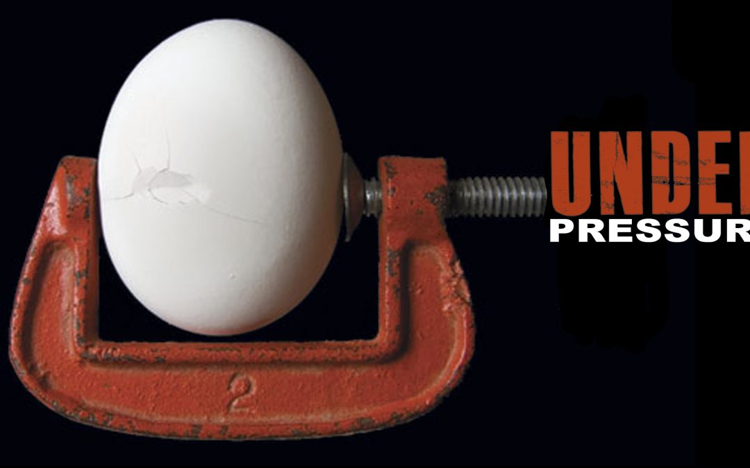 New Payday Loan Law Protecting Albertans